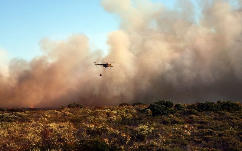 Los incendios forestales están aumentando, lo que a su vez está acelerando la tasa de deforestación y comprometiendo gravemente la biodiversidad de los ecosistemas afectados