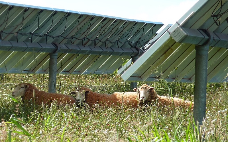 La implantación de la energía de origen renovable en las prácticas agropecuarias consigue campo más sostenible y responsable